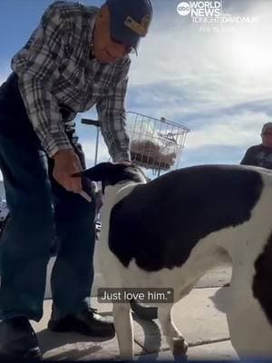 96-year-old Bill Tallyn rides his bicycle in his community of #Mesa, #Arizona every day, passing out treats to dozens of pets. Tallyn has been sharing from his basket of goodies for 23 years in his neighborhood with no plans on slowing down. Rachel Scott has more on these moments of kindness. #AmericaStrong #WorldNewsTonight #ABCNews #Dogs #Cats