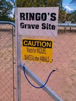 Johnny Ringo Gravesite. #Tombstone #Arizona #arizonaliving #arizonalife #wyattearp #docholliday 