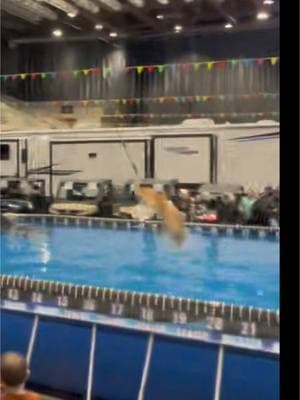 When your dog tracks TOO WELL 😵‍💫 #dockdogs #dockdiving #dockdogsoftiktok #dockdivingdog #dockdivingdogs #dockdivingfail #yellowlab #labradorretriever #labradorsoftiktok #northdakota #bismarck #thebismarcksportshow #fail #failarmy #failvideo 