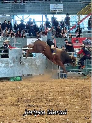 Tierra Caliente 💥🔥🔥 #jaripeo #jaripemortal #jaripeyerodecorazon #ranchotierracaliente #jinetes #torosdereparo 