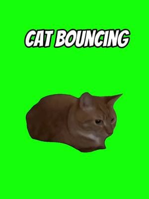 Cat bouncing Meme Green Screen #discord #capcut #procreator #fyp #meme #viralgoals #protemplates #greenscreen #viral #trend #memecut #meme #cat 