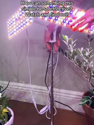 This grow light is so awesome #PlantLight #GardenLight #GardenPlants #growlights #TikTokShop #tiktokmademebuyit 