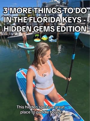 Replying to @itsalyssablake Wait til the end for my favorite hidden paddleboarding and snorkeling spot!👀🚣🤿 Part 3 of the best things to do in the Florida Keys! #floridakeys #floridakeysvacation #floridakeyslife #floridathingstodo #floridacheck #floridalife 