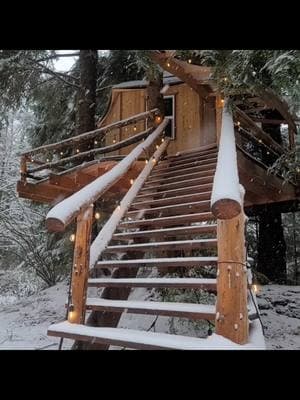 let's go! it FINALLY snowed in Washington ❤️ book that trip, plan a girls trip with friends, birthday weekend, overnight elopement, possibilities are endless!  #treehouse #trippytreehouse #traveltok #treehouses #treehouselife #treehousevacation #snow #girlstrip #tinyhouse #fyp 