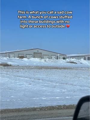 I believe God did intend for us to consume animals but NOT like this.  Stressed Animal = Stressed Food  Animals raised in unnatural, high-stress environments have higher cortisol levels, which will energetically transfer to the person consuming them.  Whenever possible, choose pasture-raised, 100% grass-fed and finished meat and dairy from cows that roam freely and eat their natural diet. #dairyfarm #farming #realfood #pastureraised #cleaneatinglifestyle #healthyeating #organic #grassfed 