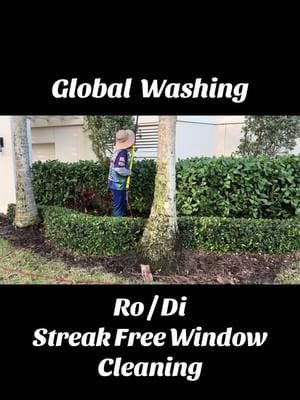 💧Ro / Di Window Cleaning✨ #GlobalWashing #GlobalWashingLLC #PressureWashing #PressureCleaning #SoftWashing #PaverSealing #Pavers #PaverSandAndSealing #Loc #ConcreteSealing #ConcreteCleaning #RoofSoftWashing #HouseSoftWashing #GutterCleaning #GutterBrightening #GutterRestoration #SolarPanelCleaning #WindowCleaning #CamperCleaning #ExteriorCleaningProfessionals #IndianRiverCounty #BrevardCounty #TreasureCoast #SpaceCoast #Florida #BeforeAndAfter #DockWashing #StainRemoval #HotWaterCleaning #WhisperWash #FinPrint_Apparel #TuckerRival #Tucker #CommercialCleaning #ResidentalCleaning 