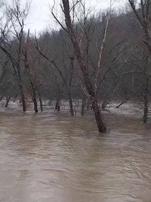 Our back yard! #wv #westvirginiacheck #wvmountainlife #westvirginia #floodwater #flood 