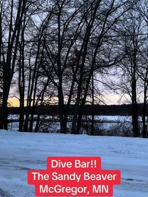 #upnorth #dives are some of the best… #winter or #Summer        #divebar #dive #drinkers #beer #divebardick #divebars #millerlite #usa #fyp #foryou #foryoupage #fypシ #coldbeer #cheapbeer #cocktails #happyhour #minnesota #northernminnesota #mcgregor #bigsandylake #pool #pooltable #foosball #snowmobile #sidebyside #sunset #snow #taxidermy 