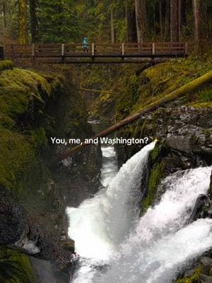 ✨ Send this to someone who needs to book a 2025 roadtrip through Washington!  ✨ Washington State is truly one of the most beautiful places in the United States, if not the world.  📝 Places to add to your Washington bucket list! Olympic National Park Mount Rainier National Park North Cascades National Park Snoqualmie Falls San Juan Islands Leavenworth Deception Pass State Park Lake Chelan Hoh Rain Forest Diablo Lake Palouse Falls Mount St. Helens Columbia River Gorge Cape Flattery Whidbey Island ✈️ Follow along for all your travel tips & itineraries   #washington #washingtonstate #olympicnationalpark #mountrainier #pnw