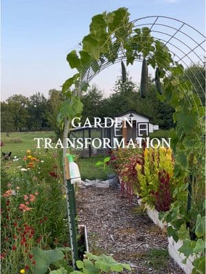 We started off with just 1 raised bed- now we have 14 raised beds & 8 in ground rows (+ the landscaping) 🌱 #gardentransformation #raisedgardenbed #gardentrellis #diycoop