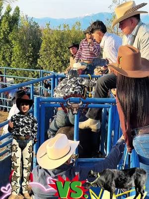 #jaripeo  Destroyerde Mich 🆚 El cejas #pulguitadejalisco #jaripeo #jaripeosbailes #jaripeobaile #guachemeco2 #jaripeos #jaripeo_ranchero #jaripeooutfits #jaripeoextremo #jaripeomexicano #bullrider #jaripeoranchero #jaripeoprofesional #bullriders #jinetes #CapCut 