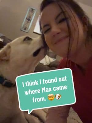 I’m still trying to wrap my brain around this whole situation. Like how crazy? I never thought I would have ever found out what happened to Max before I found him. 🤯🐶💙 #rescue #rescuepuppy #straypuppy #max #dog #dogtok #dogsoftiktok #madmax #found #storytime #crazy #update #pupdate 