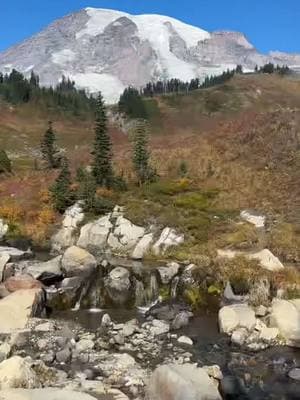 To learn, to grow & to love 🩵 #pnw#washington#nationalparks#nature#mountains#Outdoors#rangers#parkrangers#fyp#paratiiiiiiiiiiiiiiiiiiiiiiiiiiiiiii @AllTrails 