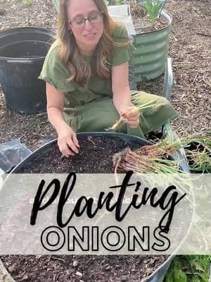 🧅 Will you be growing onions this year? 🧅I'm pretty sure a day doesn't go by that I don't use an onion to make our dinner. 🧅Growing up I hated onions, except for onion rings of course! Now you’d never catch me eating anything fried in seed oils! 💚If you need help starting your garden, check out the link in my profile for the link to my gardening guide! #organicgardening #growingfood #growyourownfood #seedstarting #gardentips #plantingonions #growingonions