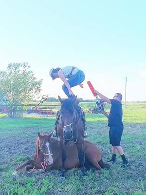 Our first attempt at this trick with two horses I trained and have had since they were yearlings:  Chili (sorrel) and Captain (bay).  Blade was removed.  These horses are incredibly patient with me.  Nothing short of unicorns.  I won’t reply to any negative comments from internet Karens.  #cowboy #horsesoftiktok #fyp #trickhorsetraining #trickhorses #trickhorse #moviehorses #stunthorses #horsesofinsta #horsesofinstagram #oklahoma #cowgirl #chainsaw #horses 