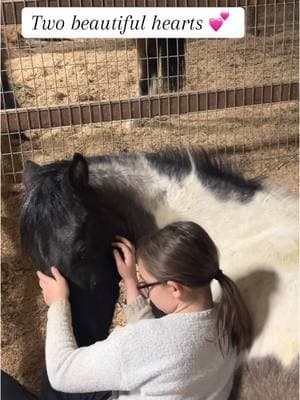 This life is so much work but these moments make it all worth it 🥹 #luna #yearling #grullapaint #APHA #fyp #foryoupage 