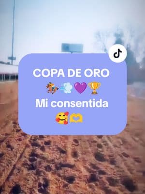 COPA DE ORO🏇💨💜 🏆#CapCut LIVEhighlights #TikTokLIVE #LIVE  #creatorsearchinsights #shakalozachikagooficial🐴❣️🏇💨🎶💃 #caballosdealtopoder🏇 #parejeras #horseracing #racehorses #caballosdecarreras #shakalozeando😎👌💯 #migustomipasion🏇💨 #shakaloseandoenchicago😎✌ #shakalozachikagopromotions🐴⚜️🏇 #2025 #shakalozastyle🐴❤🏇💨🎶 #creadoradecontenidodecaballos #cuadraspoderosasdeusa #caballos #horses #topandomasizo😎👊 #TikTokLIVE #LIVE #paratiiiiiiiiiiiiiiiiiiiiiiiiiiiiiii #fyppppppppppppppppppppppp #viraltiktok #viralvideo #cuartosdemilla #horsesoftiktok #caballostiktok 