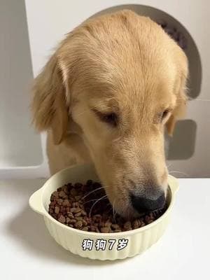 I have also tried the expensive Bi Le dog food that I usually sell. Be sure to give this fresh meat dog food a try#ChickHair #ElderlyDogFood #Bile #RecommendedDogFood 