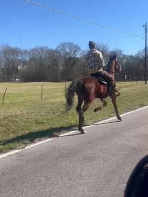 just like to sit in the pocket!! #fyp #weworking #HORSE #country #consistency #BamaMade #fpj #kegshod 