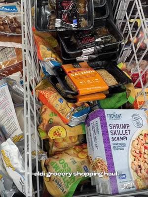 Come grocery shop on a budget with me at Aldi! I got all of these awesome goodies for only $50. 🛒 Aldi you officially have a new customer.  #groceryhaul #grocerystore #aldifinds #alditiktok #daijharaquel #MomsofTikTok 