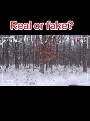 WENDIGO #tiktokvideoviral #tiktoktrendingvideo #cripted #paranormal#creepyclips #michganforest #outdooradventures #mystery #mythical#look#realorfake? #wtf#sundatdrive #