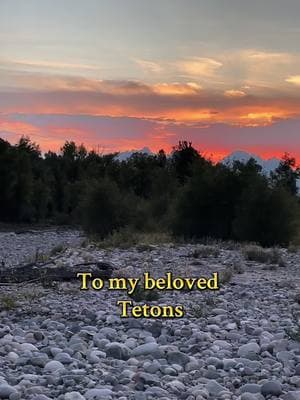 We must fight for our NPS ✊🏼💚 @Grand Teton 🏔 #nationalpark #tetons #mountaintok #RESIST✊🏼🌲⛰️ 