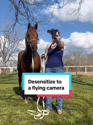 Horse desensitizing #horsedesensitizing #horses #horsesoftiktok #horsetraining #horseriding #equestrian #creatorsearchinsights © 2025 Connect the Chex 