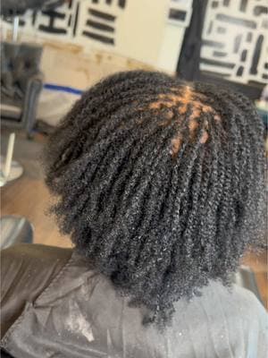 Microlocs install on natural hair no extensions. #microlocs #microlocsinstallation #microlocsjourney #locs #dallasnaturalhair #dallaslocs #naturalhairsalon 