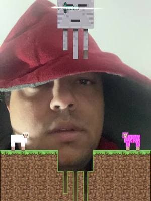 Let’s go first try too. #helpthesheepfilter #minecraftfilter #minecraftfilters #justforfun #fyp #trendingfilters 