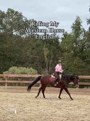 Riding my western horse English for the first time in a year!! #equestrian #western #westernriding #english #horseriding #equitation #dressage #showjumping #hunterjumper #allaroundhorse #aqha #quarterhorse #fypシ #ridinglesson 