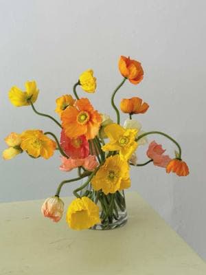 Poppy season is near! #flowers #poppies #florist 