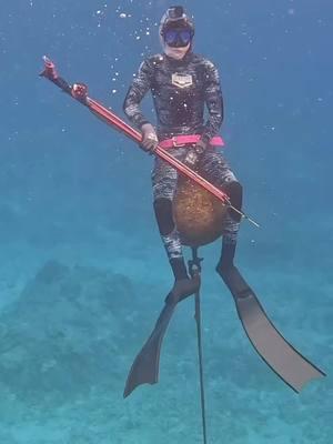 Koas been on 🔥🔥🔥 #teamventurewetsuits #venturewetsuits #spearfishing #spearos #spearfish #spearfishing_international #spearfishing_reviews  #diving #underwater#spearfishinghawaii #hawaiiskindiver #dive #fishing 