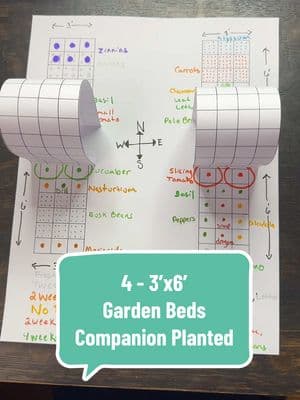 Beginner garden layout with 4 - 3’x6’ beds #gardenplan #companionplanting #beginnergardener #gardenplan #gardenlayout #gardentok #garden #squareflootgarden #tomatoes #peppers #cucumber 