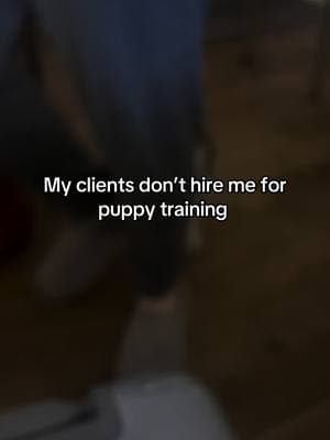 You already know you want support. You’re not someone who’s going to waste months feeling overwhelmed, trying to piece together conflicting tips online But right now? You still don’t have a clear plan You have a million things you feel like you need to work on at once, you’re committed to doing things right, but you don’t want to waste time guessing.. You want to actually enjoy your puppy and not feel like every day is chaos And THIS is why my clients invest in working with me  Not because they “need” training. But because they want to take the guess work out and see progress faster  Think about it like using a GPS- if you’re driving somewhere new what is the first thing you’re going to do when you get into the 🚗 ? Probably plug the address into maps Why? you could get to your destination without it.  But you also know it’s going to take way longer than it should, you’ll probably end up 50 miles in the opposite direction and the whole time you’re going to be overwhelmed AF That’s exactly what’s happening with your 🐶 right now You’re putting in the effort but it feels like you’re always second guessing if you’re doing this right That’s why people invest because here’s the thing..this isn’t just puppy training Most programs give you a few sessions and leave you on your own to figure it out in between. Or they give you generic advice that doesn’t actually fit your life and you’re left trying to figure out how to tangibly put it together  That’s not how we do things ✔️ You get support 7 days a week, not just once per session. ✔️ You have a customized plan built into your daily schedule so you know exactly what to focus on when with no guess work  ✔️ No more feeling overwhelmed because you have a partner walking with you every day.  When you train with me, you don’t waste weeks feeling overwhelmed, wondering if you’re doing it right because at the end of the day, behaviors continuing to go on are behaviors that are becoming habits. We are proactive and get ahead of things before they become a habit.  And it’s why my clients see the progress they do You’re next👀 Grab the details of working with me 1:1 using the 🔗 in my b!o  #newpuppytips #newpuppyessentials #goldenpuppy #chocolatelabradorpuppy #labpuppy #rescuepuppy #cavalierpuppy 
