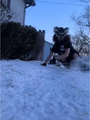 𝐃𝐫𝐞𝐚𝐦 𝐀𝐛𝐨𝐮𝐭 𝐌𝐞~ #quadrobist #quadrobics #quadrobicsjump #kvd #wolf #winter #snow #nature #notatherian #theriansupporter #antizoo #iknowimnotananimal #meme #fyp #fypp #fypシ #fypシ゚viral #viral 