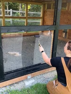 Satisfying Life Hack Chicken Coop Wire Painted Black 🐓  #chickencoop #paint #black #chickencoopsoftiktok #LifeHack #satisfying #oddlysatisfying #fyp 