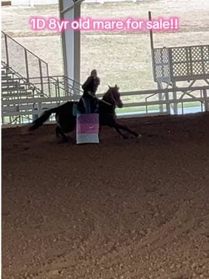 Frenchie is getting the Hang of things around here!! Somebody is gonna be so lucky to have this mare!! She is super fast and fun!! Message me if interested 45,🥕🥕🥕 #bayleighchoate #foryou #horsegirl #fyp #barrelracer #barrelhorses #futrityhorse #barrelracing #rodeo #westerngirly #feedingroutine #builtnotbought #horses #program 