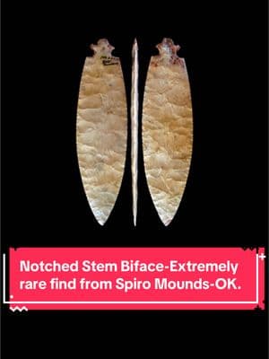 Educational: MONSTER Notched Stem Biface from Spiro Mounds in Oklahoma 🔥🔥🔥 #thebluffdweller #foryou #fyp #fypシ #trump #archaeology 