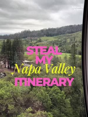 Here is my full Napa Valley Itinerary. Things to do in Napa Valley. #napavalley #thingstodoinnapa #napawinery #stealmyitinerary #napavalleyitinerary #blackgirlstravel #blackgirltiktok #birthdaytrip #girlstrip #traveltips