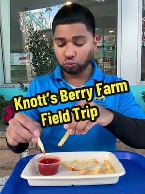 Knott’s Berry Farm Field Trip #schoolbusdriver #pov #Vlog #dayinmylife #asmr #lunch #mukbang 