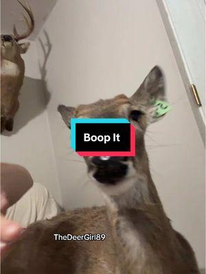 Boopin the snoot!!! Bop It just prepped us all for ultimate snoot boopin!!! #bopit #deer #durr #durrs #durrsoftiktok #durrassicpark #animals #animalsoftiktok #Love 