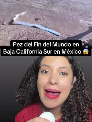 Pez del Fin del Mundo en Baja California Sur en México 😱pez remo #pezremo #pezdelfindelmundo #noticia 