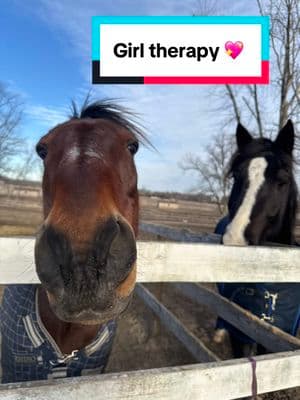 Girl therapy 💖💖💖💖💖 #sorryicantcometothephonerightnow #girl #girls #horse #forthegirls #girltherapy #fy #equestrian #horsesoftiktok #horsingaround #horseshow #happyathome #whytheface #whythelongface #fypシ 