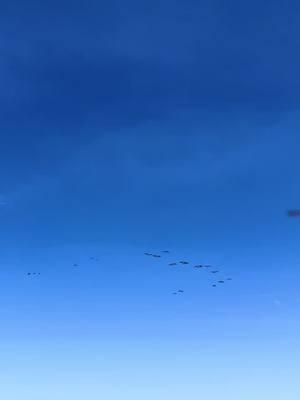 This view will never get old💦 #waterfowl #geese #hunting #colorado #cornfield #Lifestyle #blessed #money #divebombindustries #banded #chenegear #fyp 