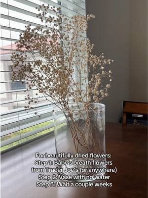 I’ve had these dried flowers for 3 years #babysbreath #driedflowers #driedflowerscrafts #driedflowersdiy 