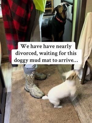 #chenille #muddymat #muddydog #mudseason #dogsoftiktok #muddypaws #musthave #tiktokshopcreatorpicks 