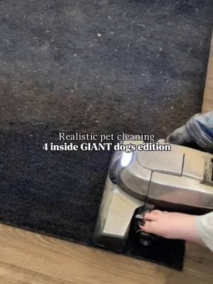 The underneath😭🐾 #satisfyingcleaning #realistic #realisticcleaning #satisfyingcleans #CleanTok #cleanwithme #cleaning #cleanfreshhype #cleaningtiktok #cleaningmotivation #cleantiktok #clean #asmrclean #sahmsoftiktok #greatdanesoftiktok #vacuum 