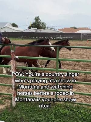 Something about the outside of a horse that’s good for the inside of a man. #horses #countrysinger #montana #rodeo #bronchorses #roughstock 