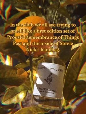 In the club you can use my perfume. #perfumetiktok #BookTok #stevienicks #laurelcanyon 