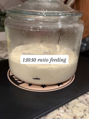 Let take a look at our 1:10:10 ratio feeding on Eve after about 9-10 hours. Remember higher ratio feedings take longer to peak because there’s more raw flour than starter. #sourdough #sourdoughbread #sourdoughstarter #sourdoughforbeginners #sourdoughstarterforbeginners #sourdoughlife #sourdoughtips ##sourdoughtok##fyp##sourdoughbaking##sourdoughbreadforbeginners##startertips##sourdoughbaker##sourdoughtiktok##sourdoughcommunity